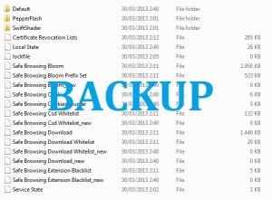Backup User Data Folders