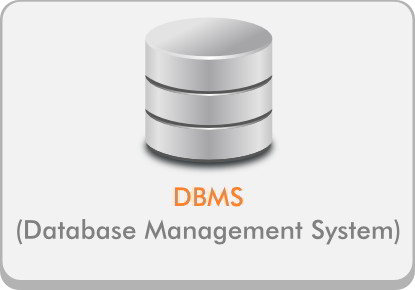 Database Management System
