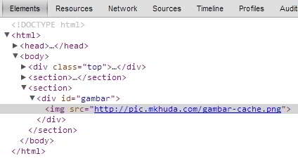 inspect element sebelum offline