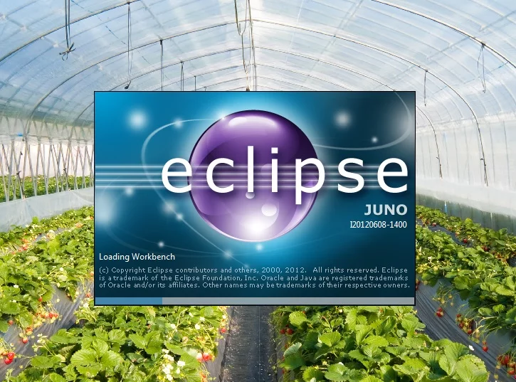 Eclipse JUNO