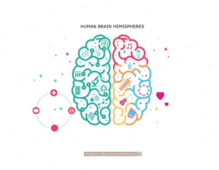 human brain consciousness